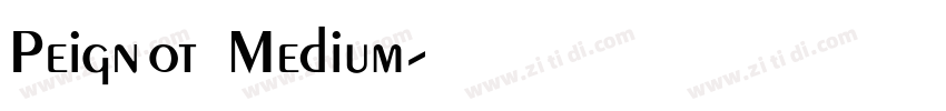 Peignot Medium字体转换